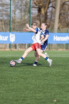 Bild 176 - wBJ Hamburger SV - Hertha BSC : Ergebnis: 2:1